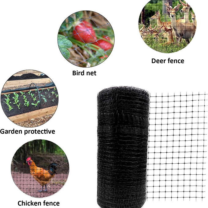 Corss-border E-commerce